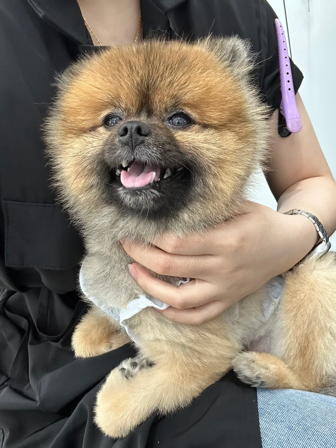 돵근