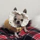 HJ