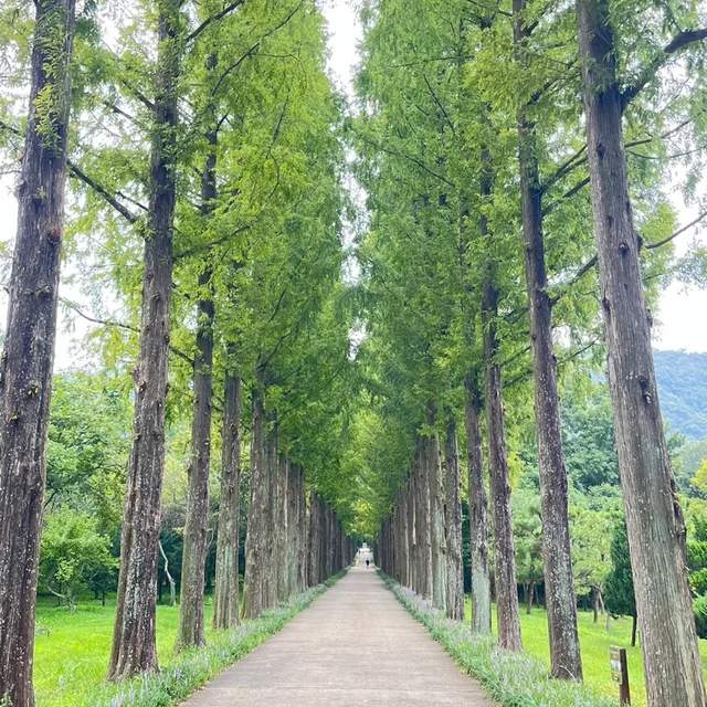 답이늦을수있어요