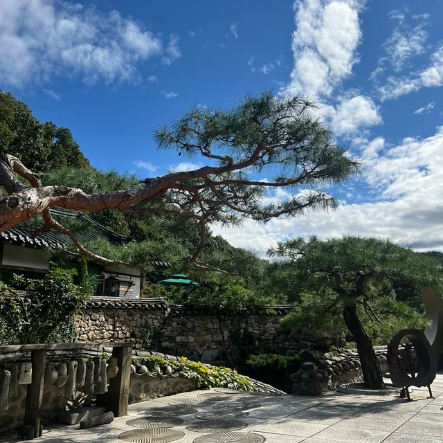 당근아당근아