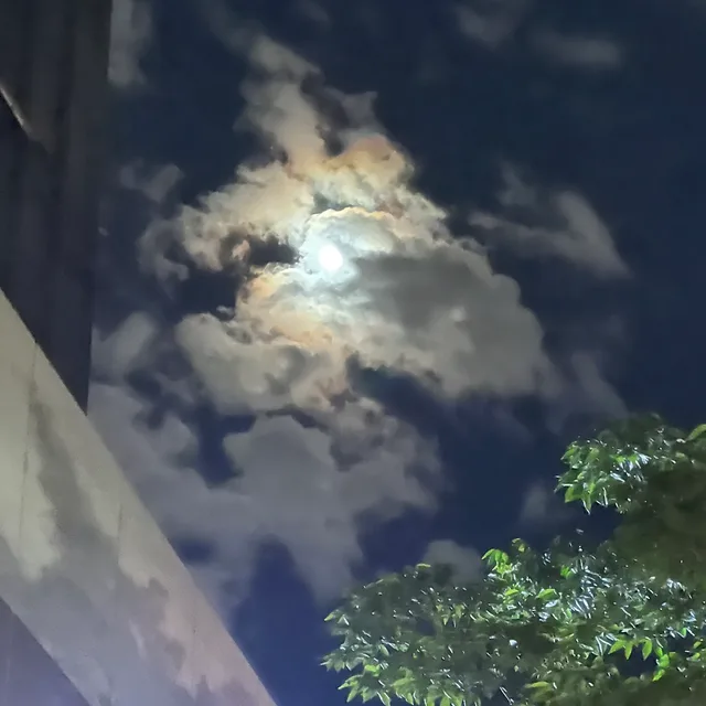 김찬유