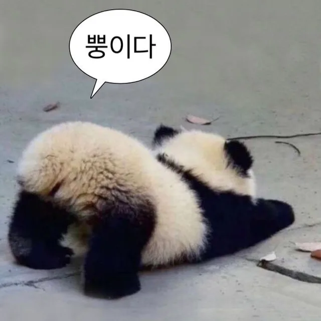 뿡이다