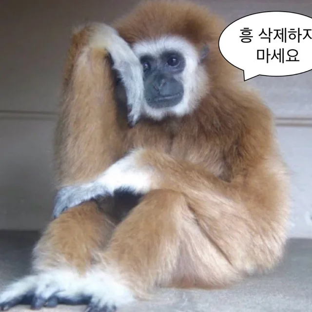 팔까말까