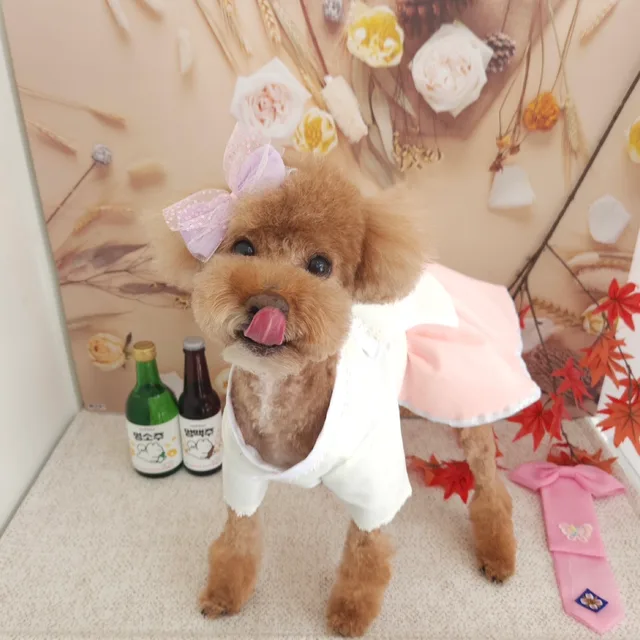 뚱이엄마