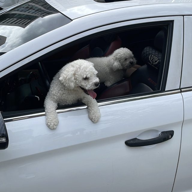 숑숑숑숑숑 프로필 이미지