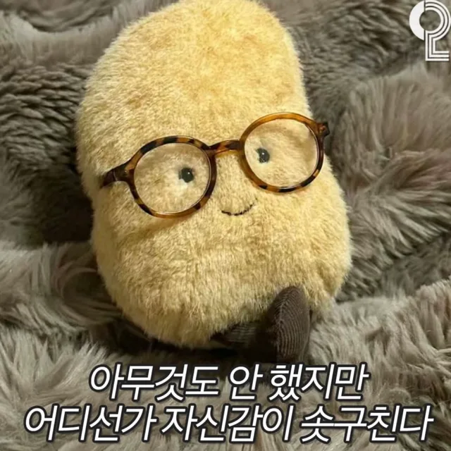 감자