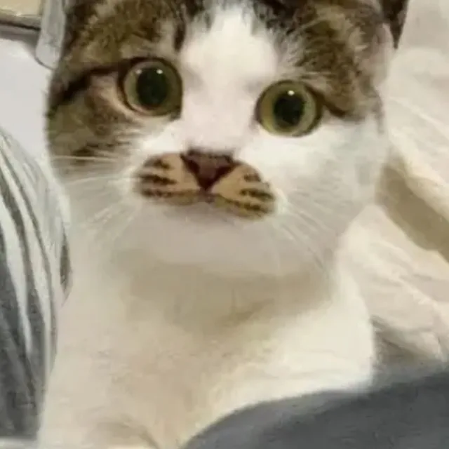 야상