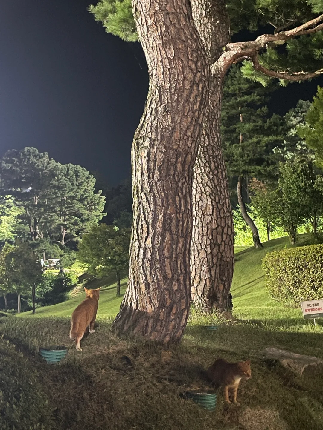 폴라리스