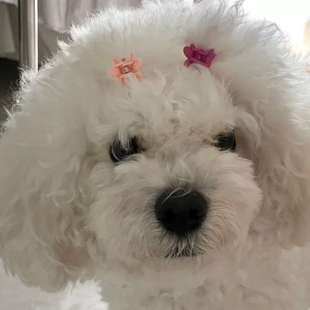 만두