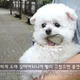 옷장꽉찬패디과