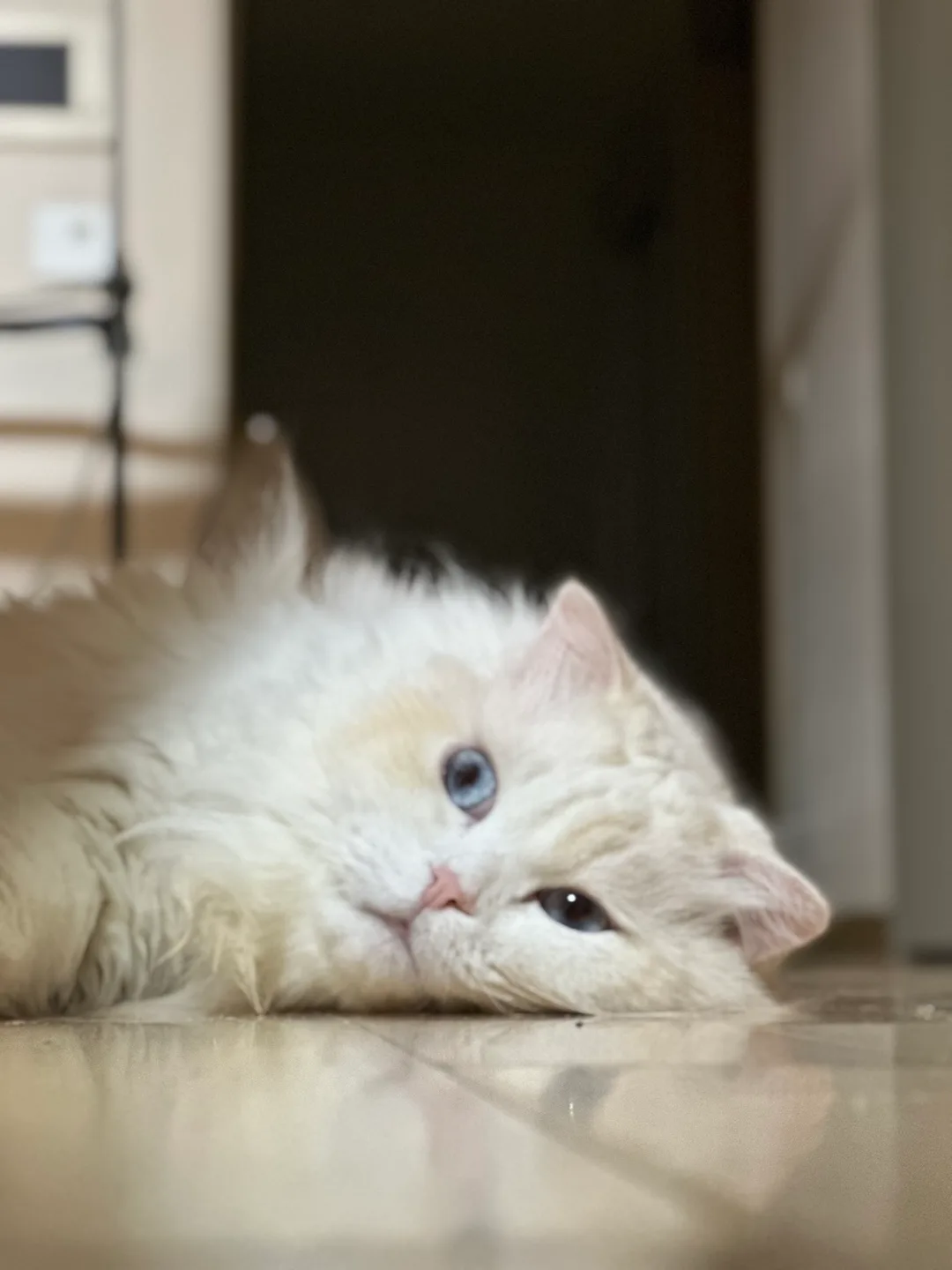 데헷