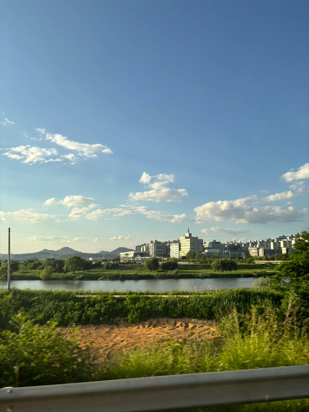 빛나는감자