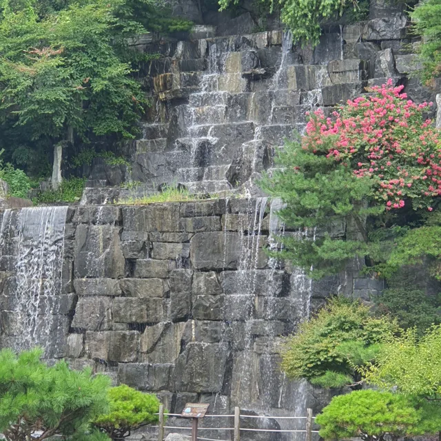 호동