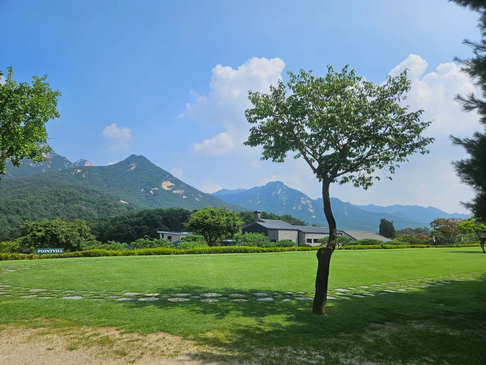 낭만당근