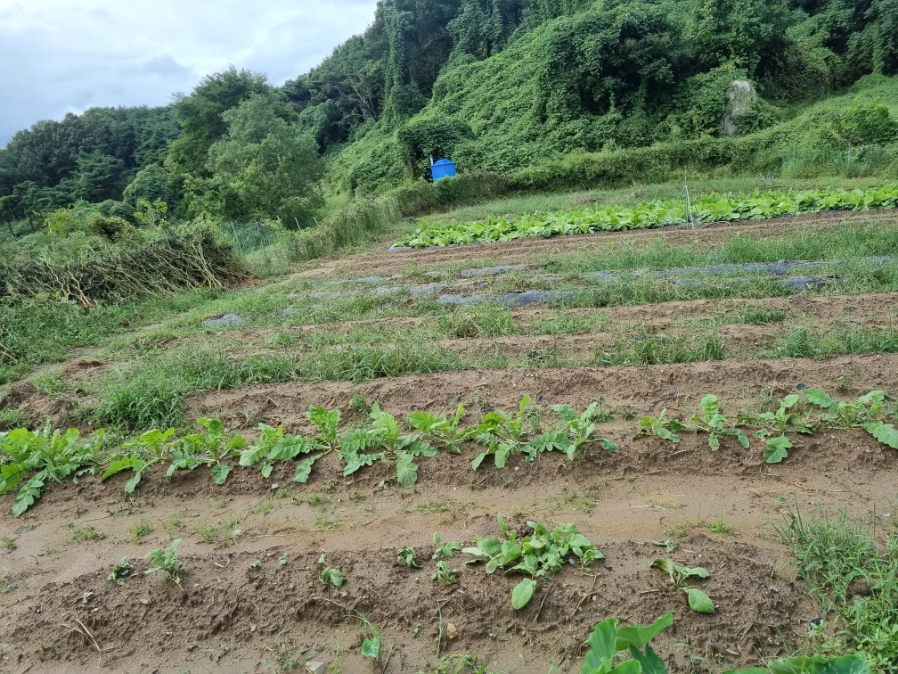 산새들새