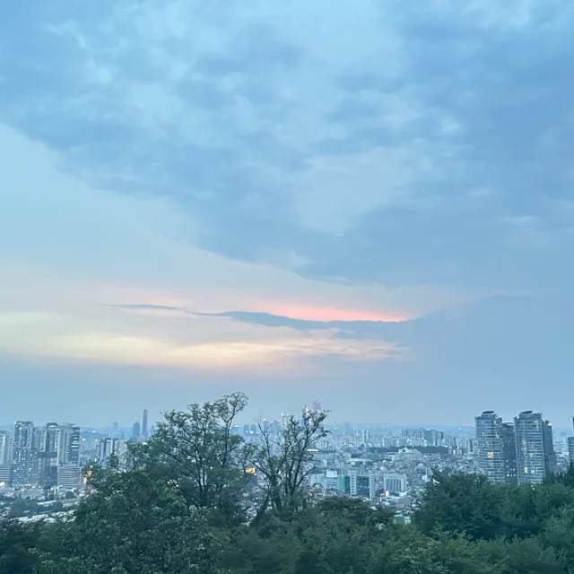 들꽃69