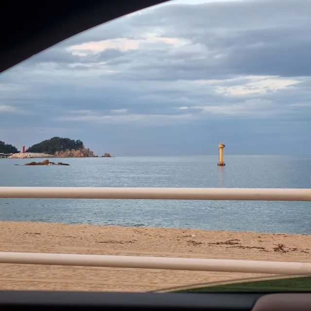 자원봉사