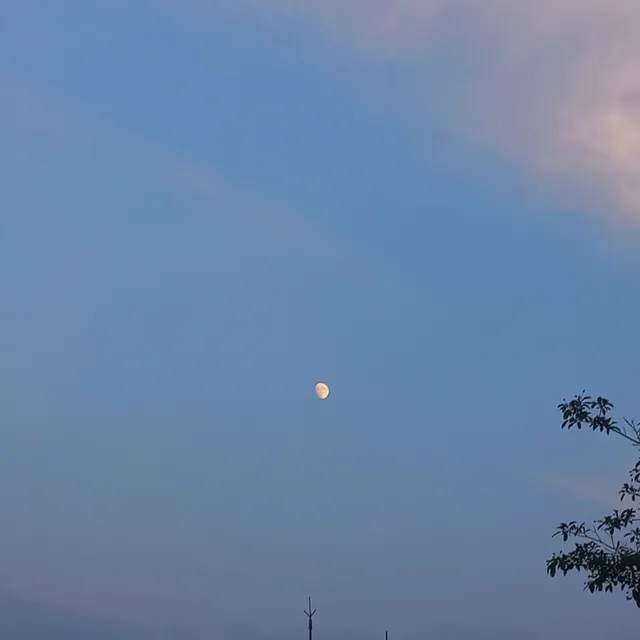달빛