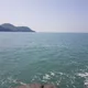 투유