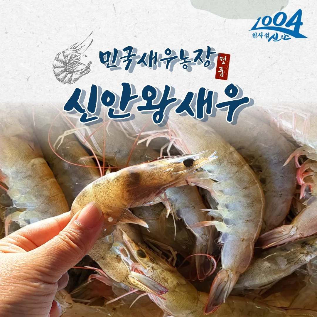 1004섬