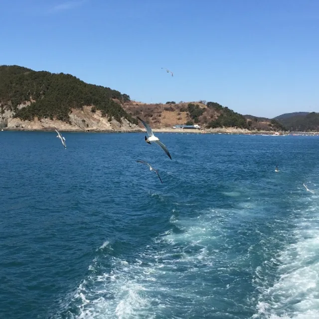 당근조아조아