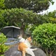 샛별