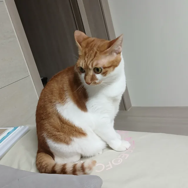 겨울이