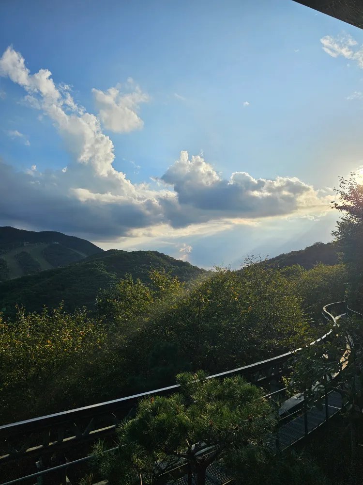 자본주의에사는남자
