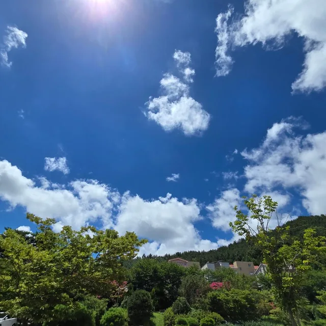 별뚱