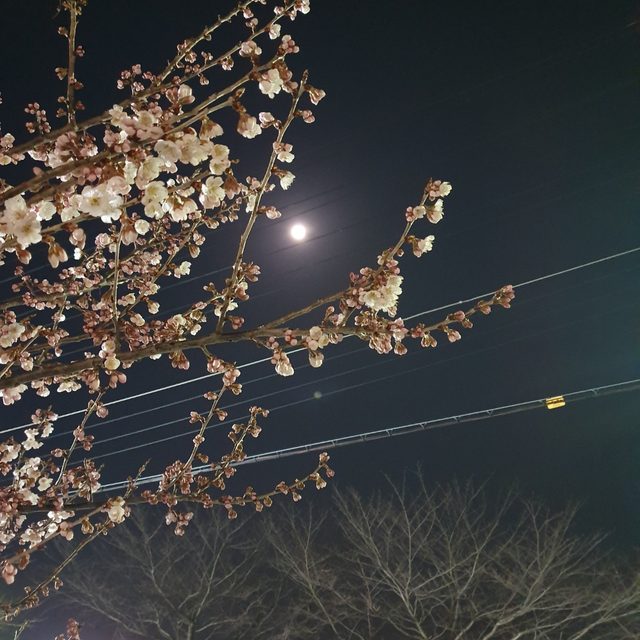 나무와바위 프로필 이미지