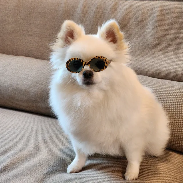 꿀잠