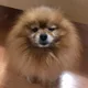 완스베이커리