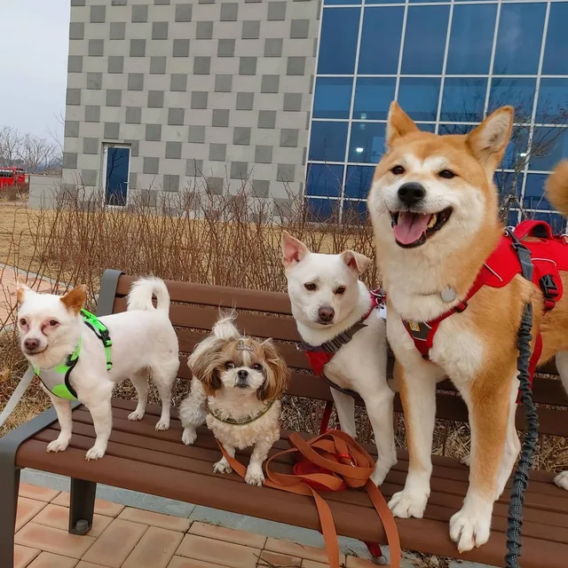 좋은날