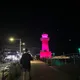 나무