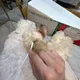 아리호
