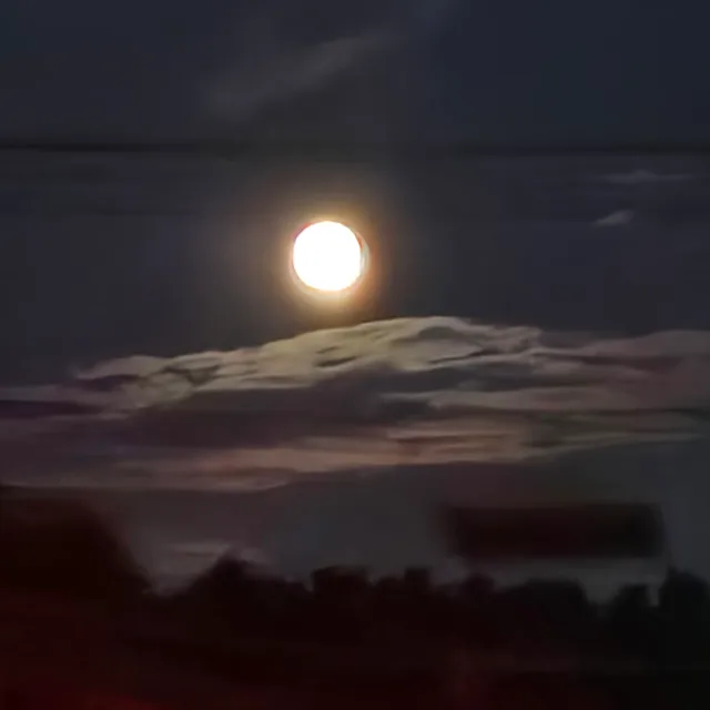 꿍야