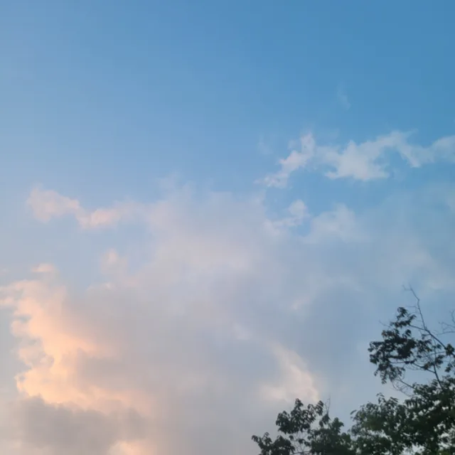 뽁뽁이패밀리