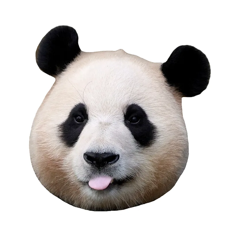 푸우딩