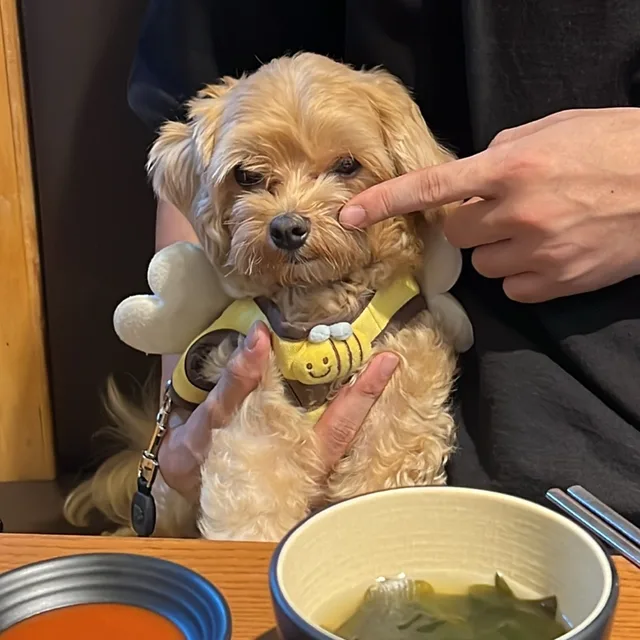 나무나무라네