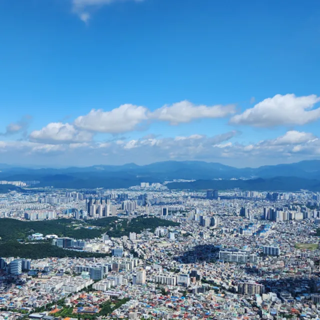 대구쌍화차