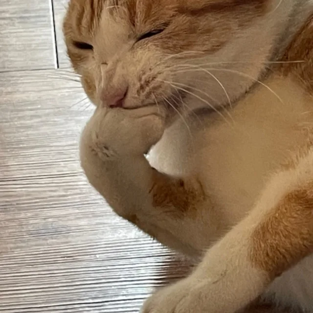 냠냠이