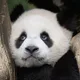 오써니데이