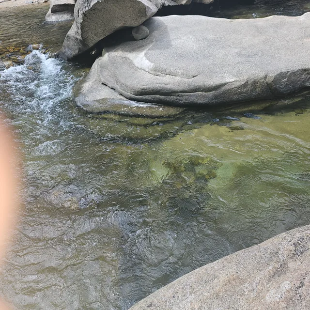 열심히살자