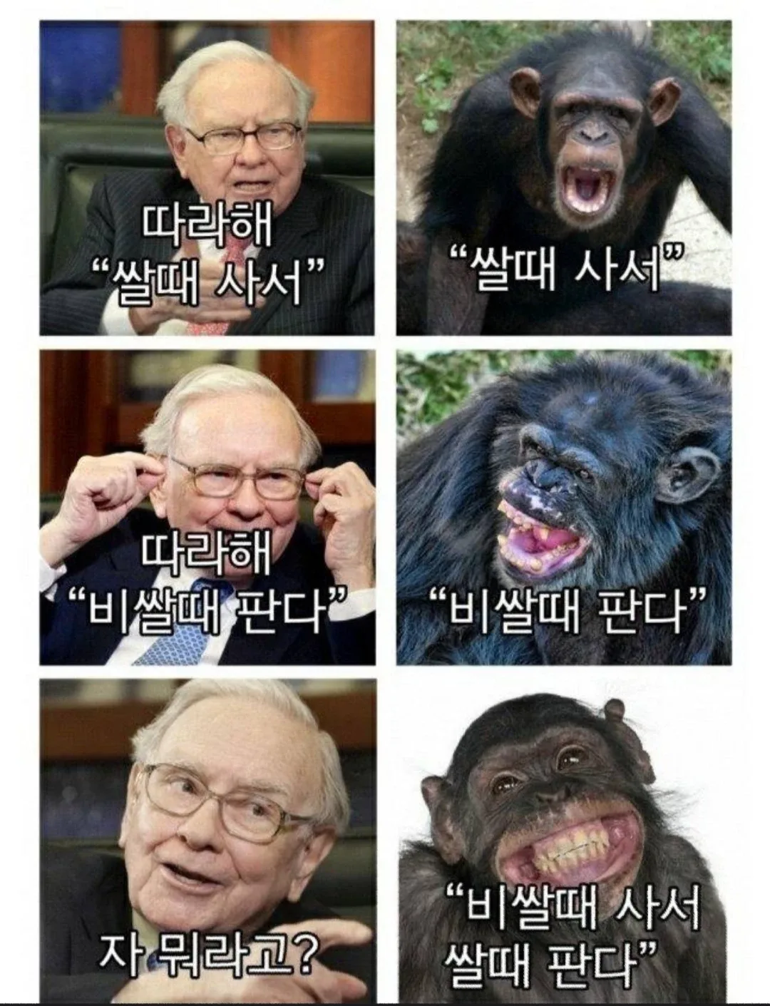 거래는빠르게