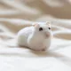 생아