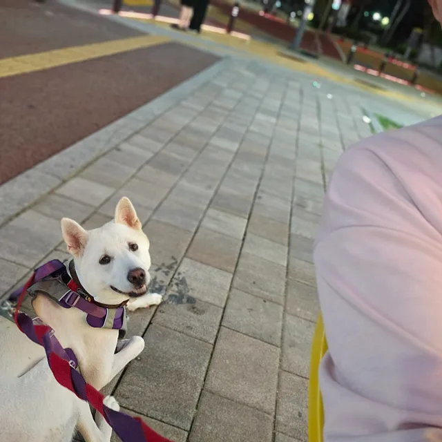 루디맘