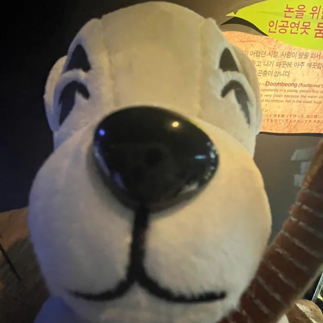 당근보단피망