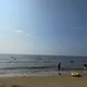아마도