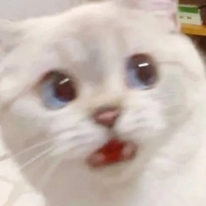 애플민트
