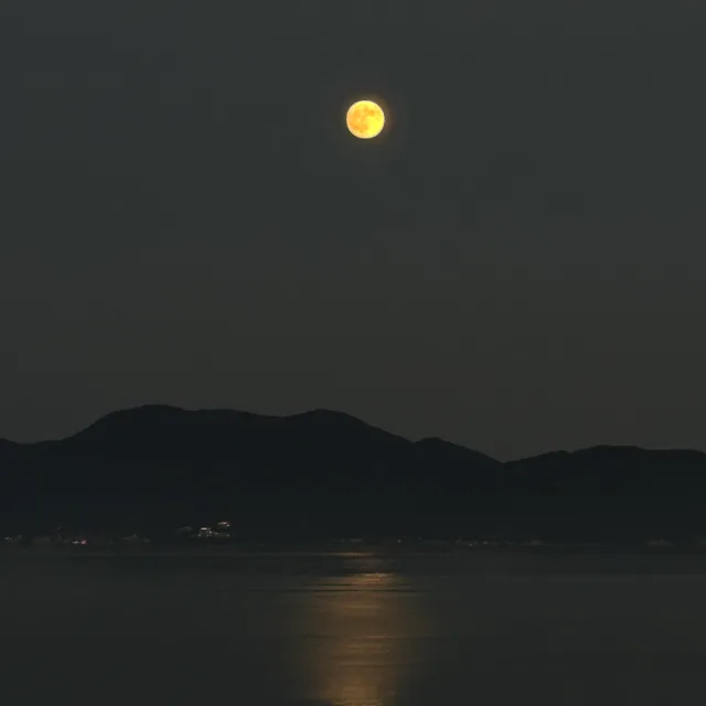 순댕이